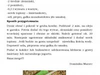 Publikacja  Panorama Page 016